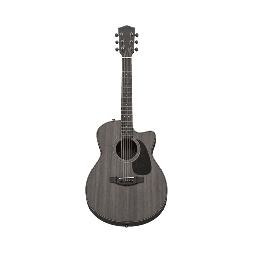 Acoustic guitar stage plot symbol